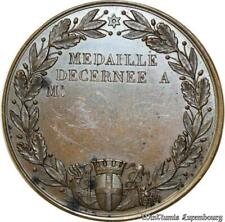 B5499 Rare Medaille Second Empire Société Statistiques Marseille Desnoyers