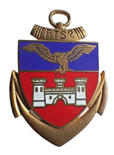 insigne INFANTERIE COLONIALE -