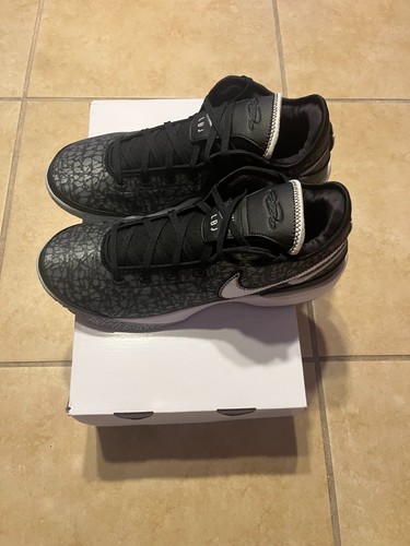 Nike zoom lebron nxxt - gen, men