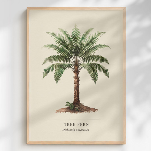 Tree fern print - tree, dicksonia
