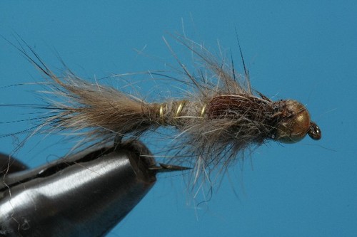 Fliegentom piéces oreille - 3,