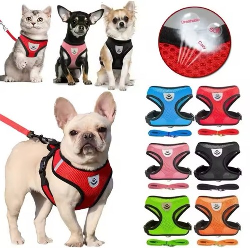 Harnais laisse bouledogue - harnais, et