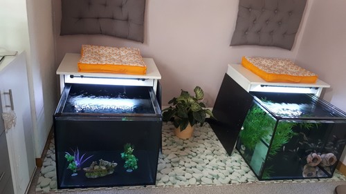Vend aquarium 240 litres - , très