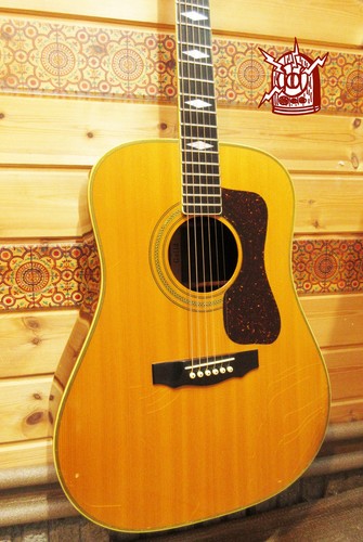 Guild d66 1985 - d66, acoustic