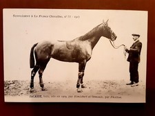 Photo Carte Hippisme Équitation 1913 ”La France Chevaline” N°53 ”JACASSE”
