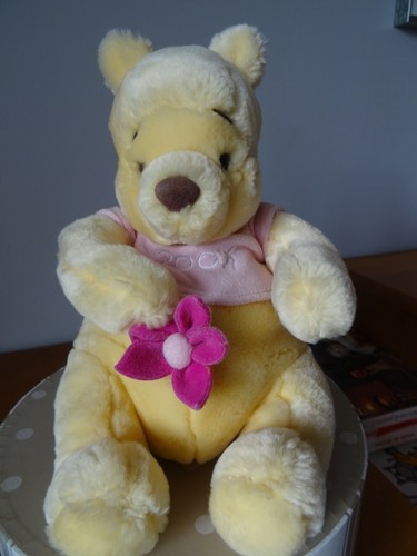 Ours winnie doudou - 30, cm