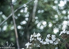 Objectif vintage Fuji 55mm