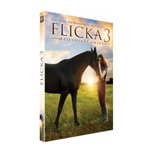 Flicka dvd neuf - flicka, 3