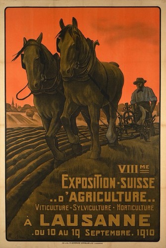 Affiche poster équitation - affiche,