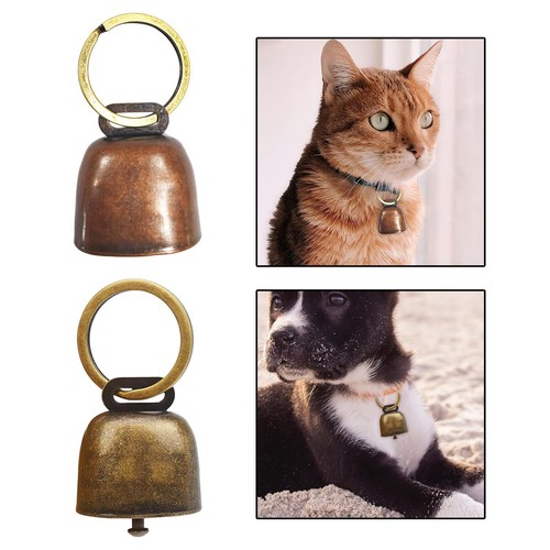 Collier pour chien chat - chien,