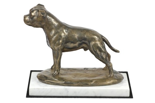 staffy chien