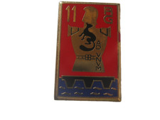 INSIGNE REGIMENT DU GENIE LE