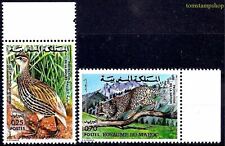 Maroc 1974 Oiseaux Francolin