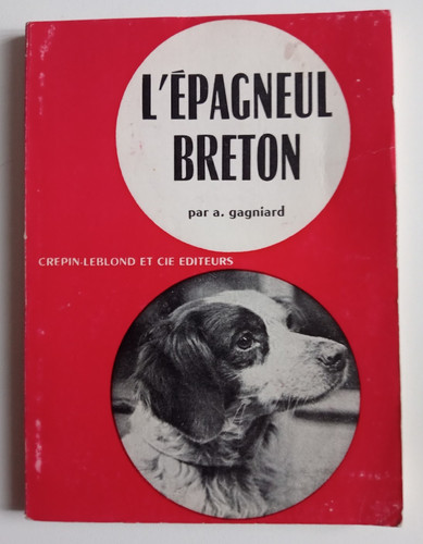 Epagneul breton par a - breton,