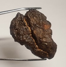 Meteorite Chondrite NWA du