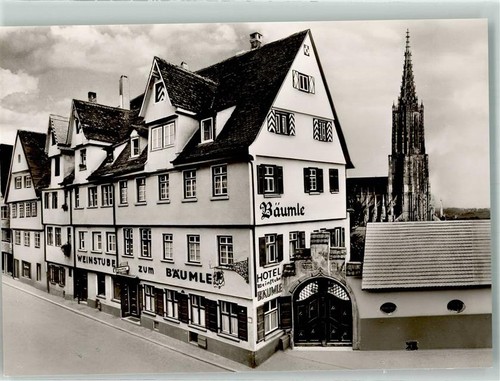 10708813 7900 ulm weinstube - -,