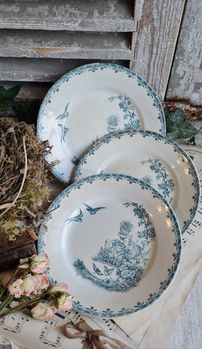 Anciennes assiettes plates - 3,