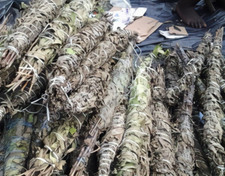 SUPER PROMO ****THé DéTOX