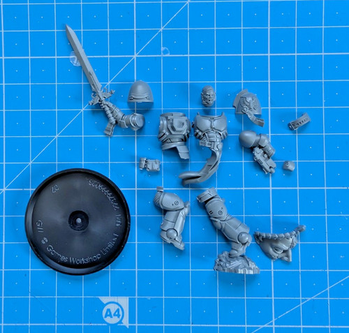Sanguinary guard bits - guard, body