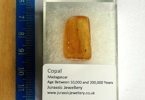 Boîte copal malgache - boîte,