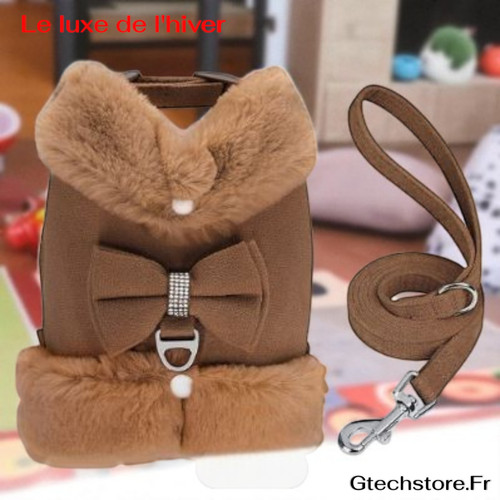 Harnais gilet chaud - chien, et