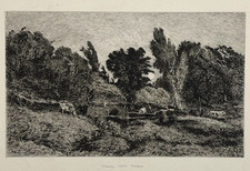 Troupeau Vaches Paysage