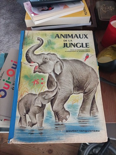 Animaux jungle verite - jungle,