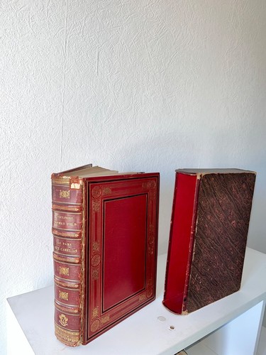 Livre ancien rare la dame - livre,