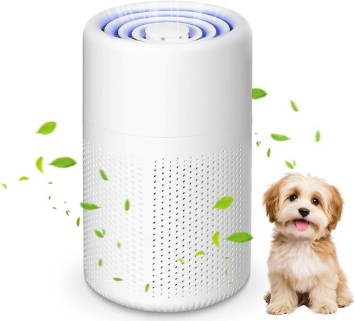 Purificateur air chambre - d'air,