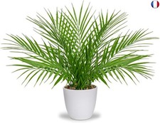 40,6 cm - Palmier artificiel