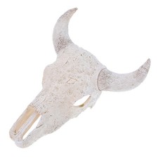 Décoration Murale Tête De