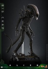 Preorder november 2026 - preorder,