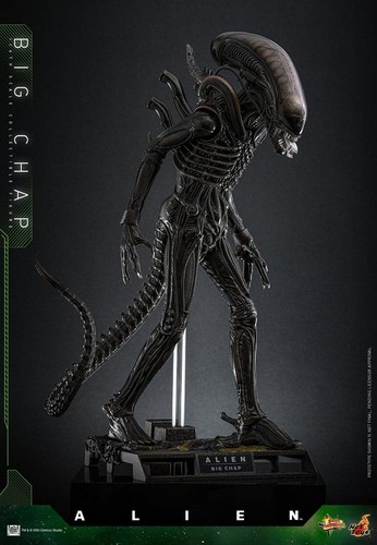 Preorder november 2026 - preorder,