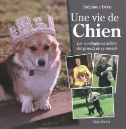 Une vie chien - vie,