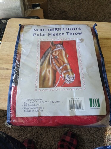 Vintage northern lights polar - vintage,