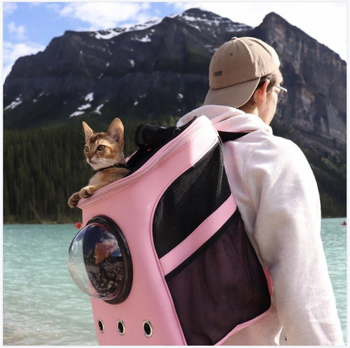 Sac transport pour - de, chat
