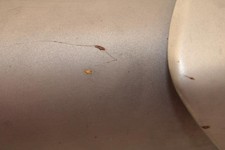 Silencieux d'échappement