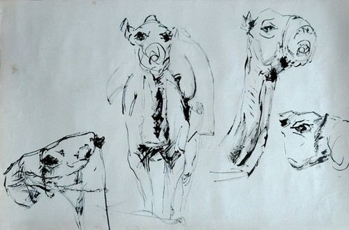 Beau dessin encre etude - dessin, l