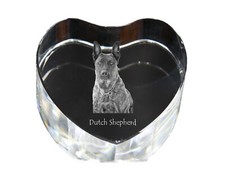 Hollandais Chien de Berger