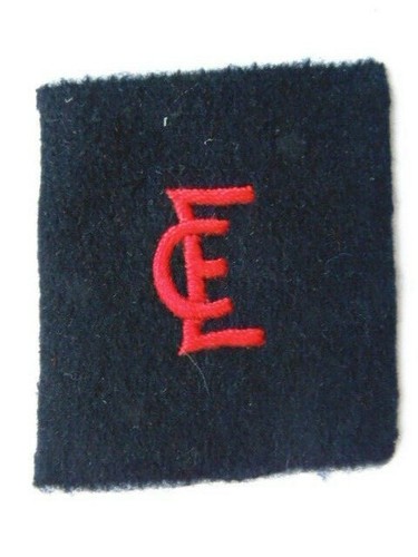Rare insigne tissu