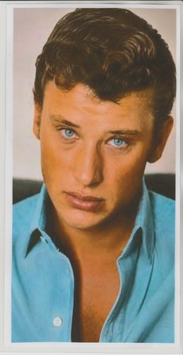 johnny hallyday carte postal