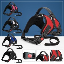 Chien Harnais Ne Tirer Pour