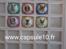 NEWS CAPSULE DE CHAMPAGNE delabruyere les chiens 