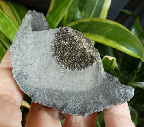Baryte cristallisée sur - baryte,