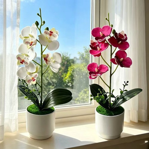 Fausse plante orchidée