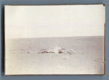 Algérie, Jalon dans la route