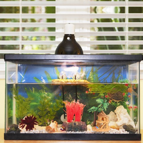 Fish tank décoration décors - tank,
