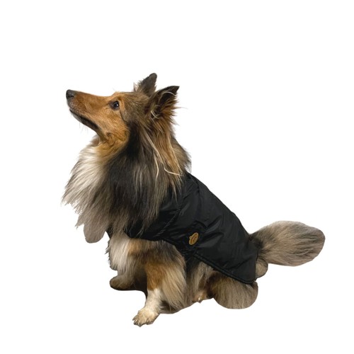 manteau pluie chien