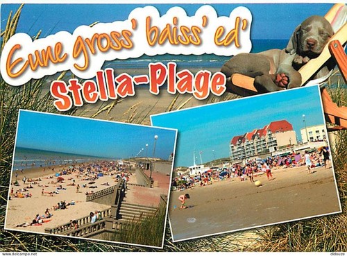 Carte postale stella - -,