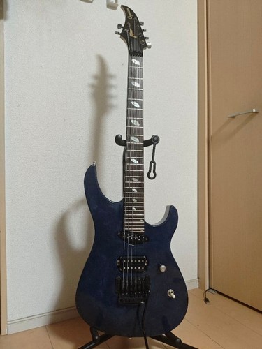 Caparison horus